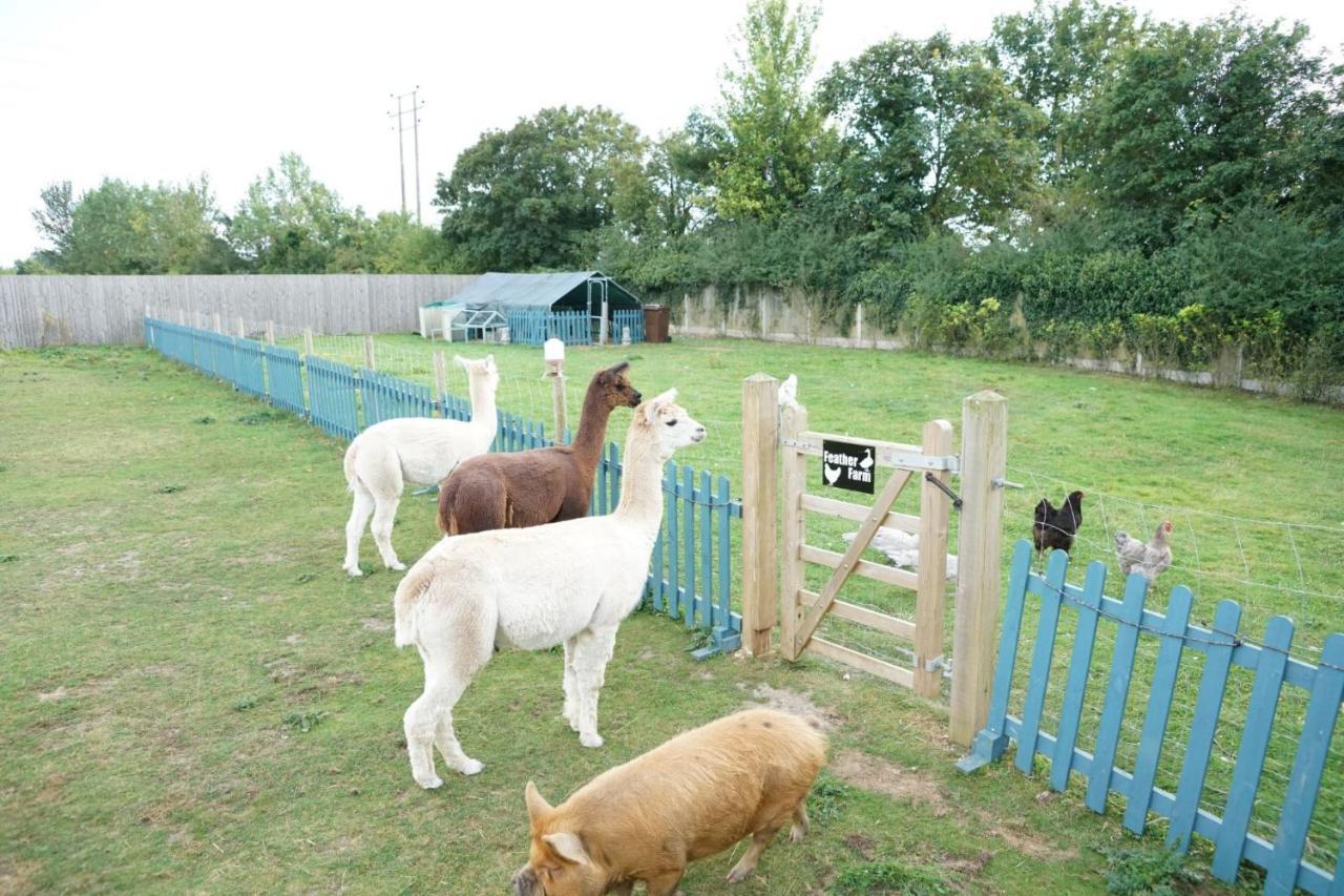 Alpaca Lodge Sittingbourne Kültér fotó